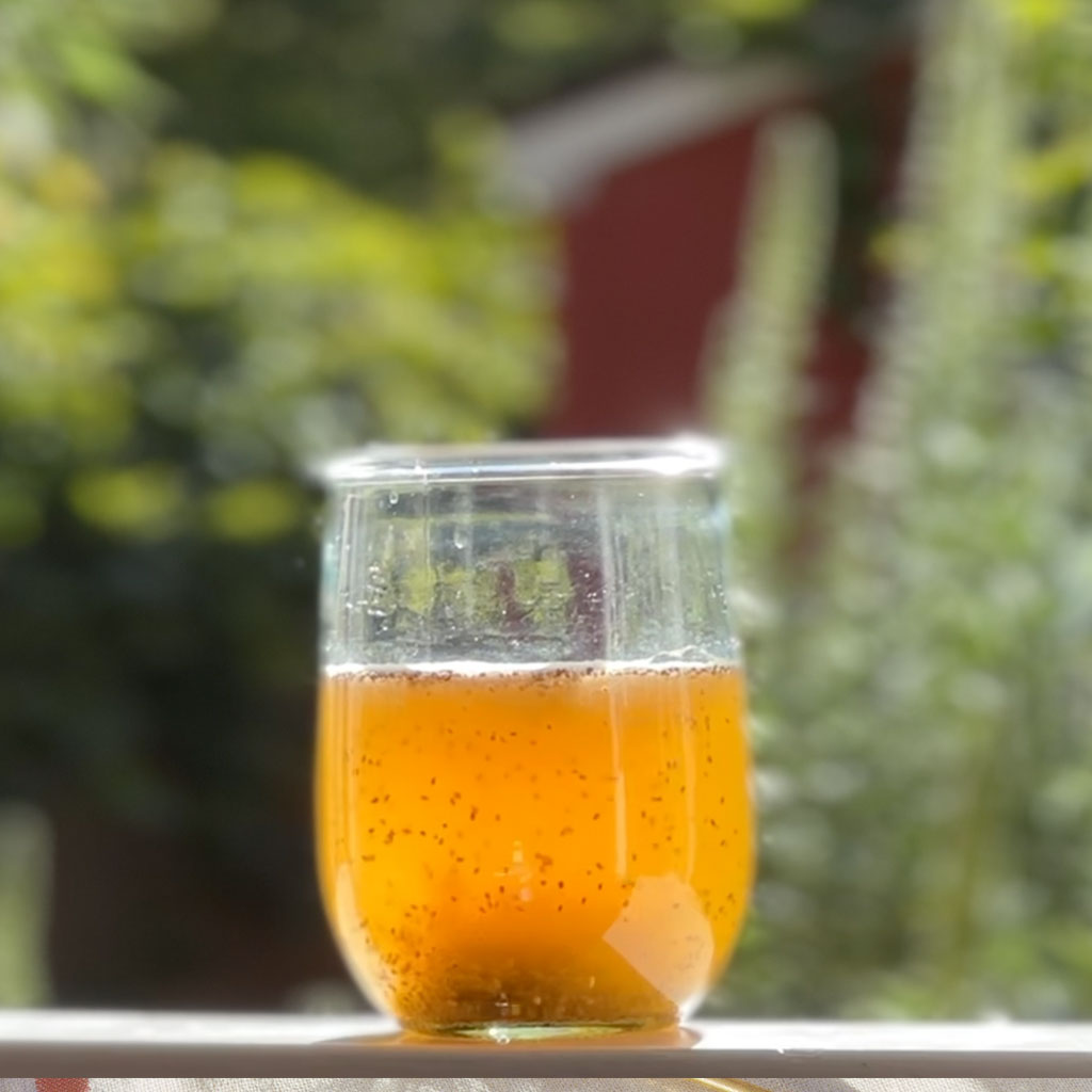 Mango Chia Tonic