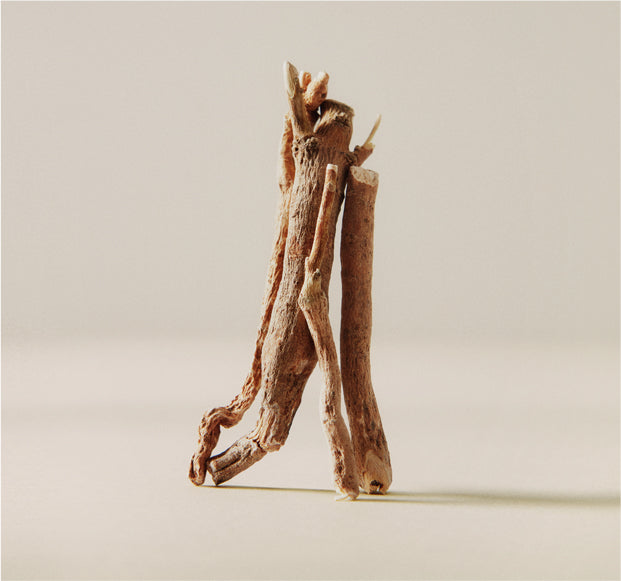 What AAre the Benefits of Ashwagandha for Women?