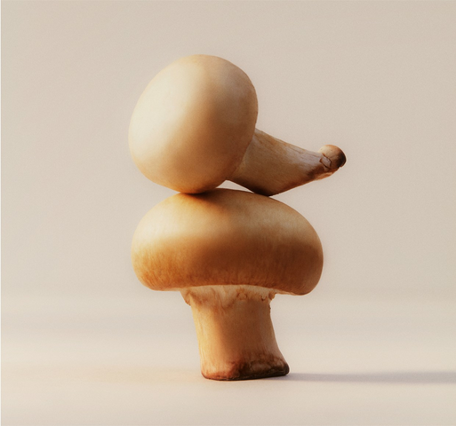 5 Best Mushrooms for Energy