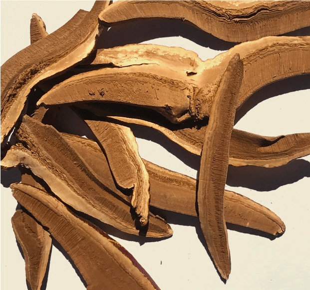 How to Use Reishi Mushroom Powder