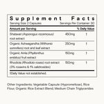 Nootropic Stack